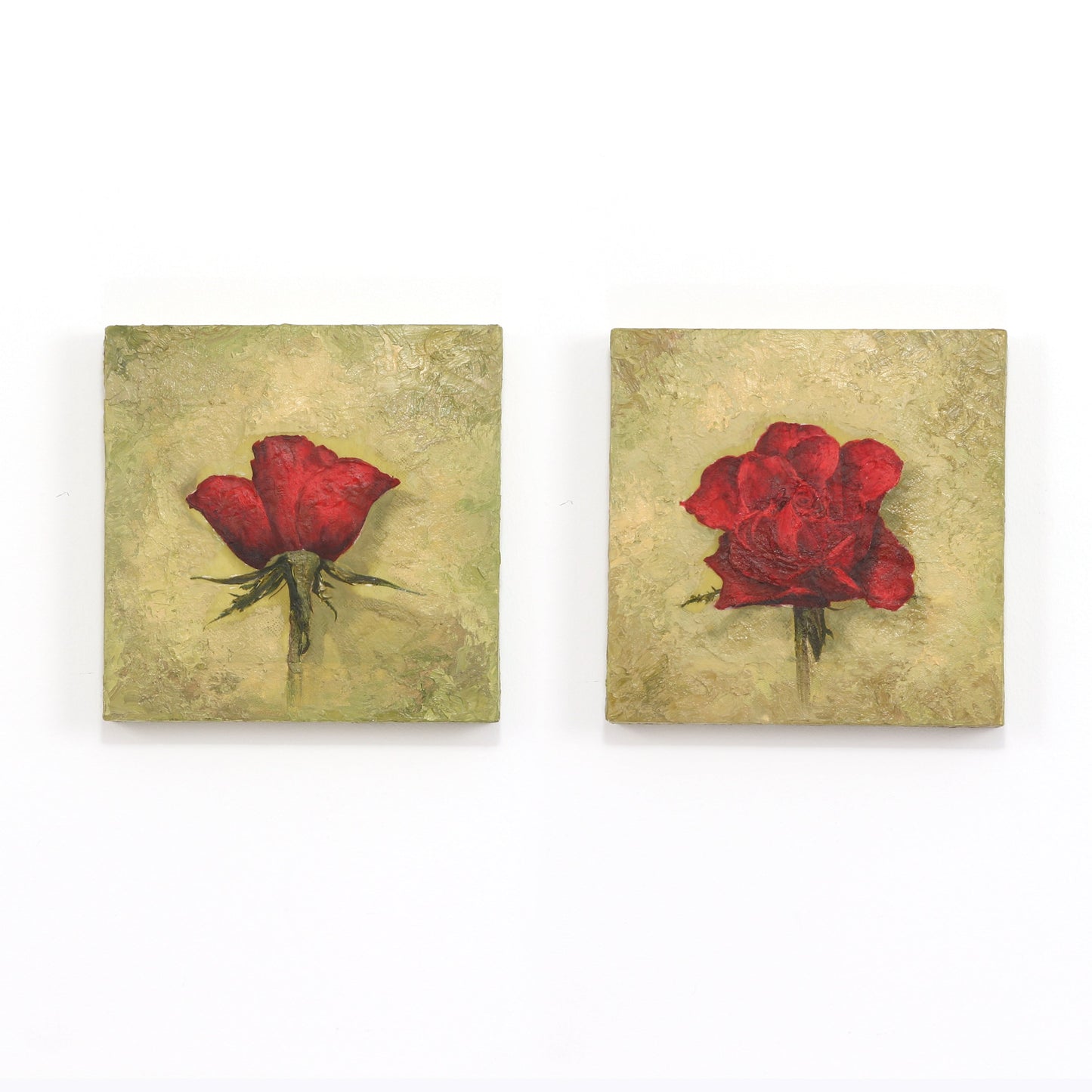 Perfect Rose - 10 x 10 (each x 2)