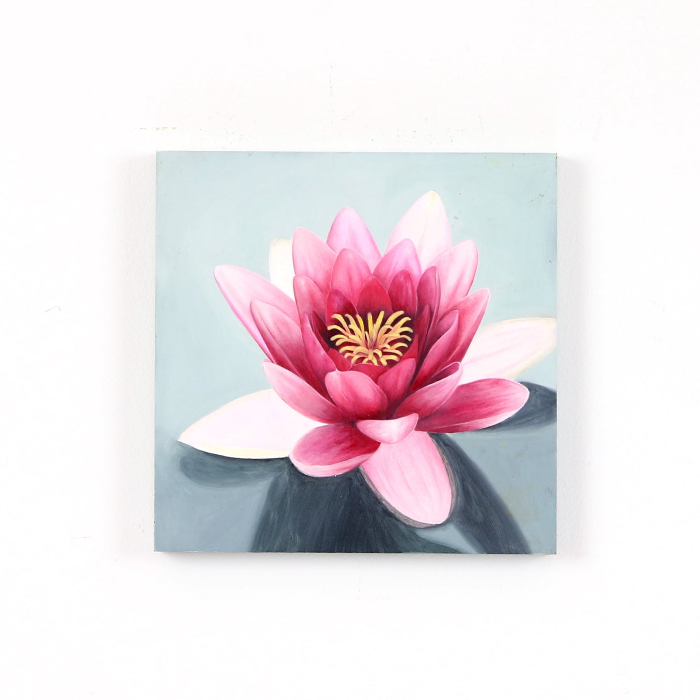 Lotus - 8 x 8