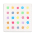 Hazy Hirst Hues - 40 X 40