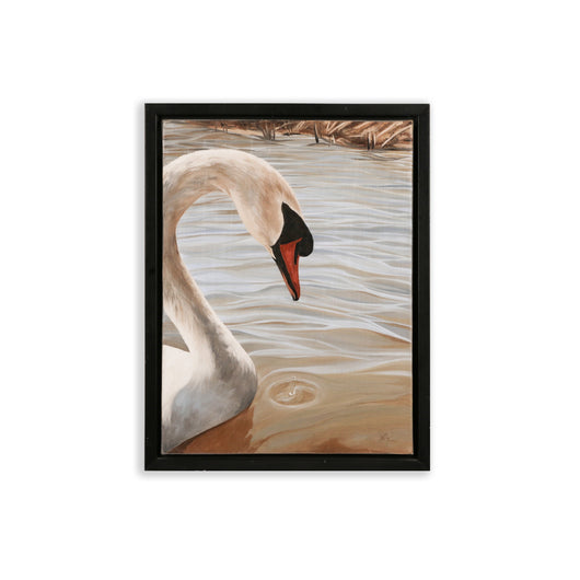 S-Curve Swan - 14 x 18